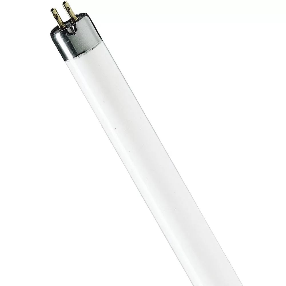 fluocev